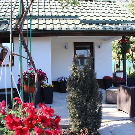 Casuta Artistilor Villa บราซา ภายนอก รูปภาพ