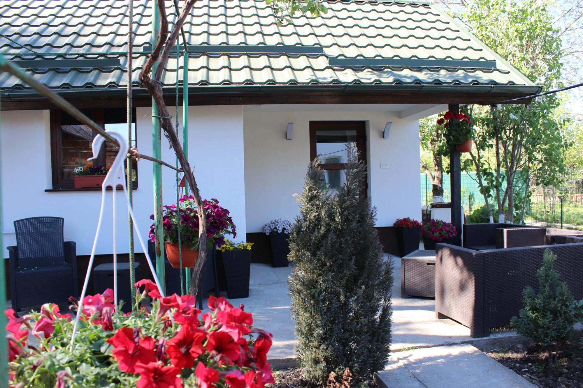 Casuta Artistilor Villa บราซา ภายนอก รูปภาพ