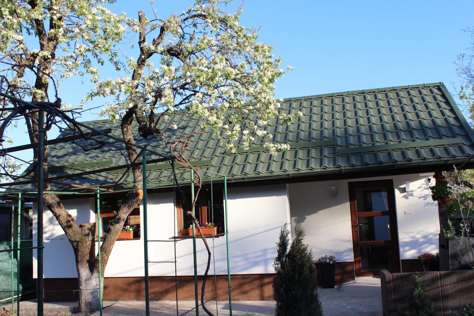 Casuta Artistilor Villa บราซา ภายนอก รูปภาพ