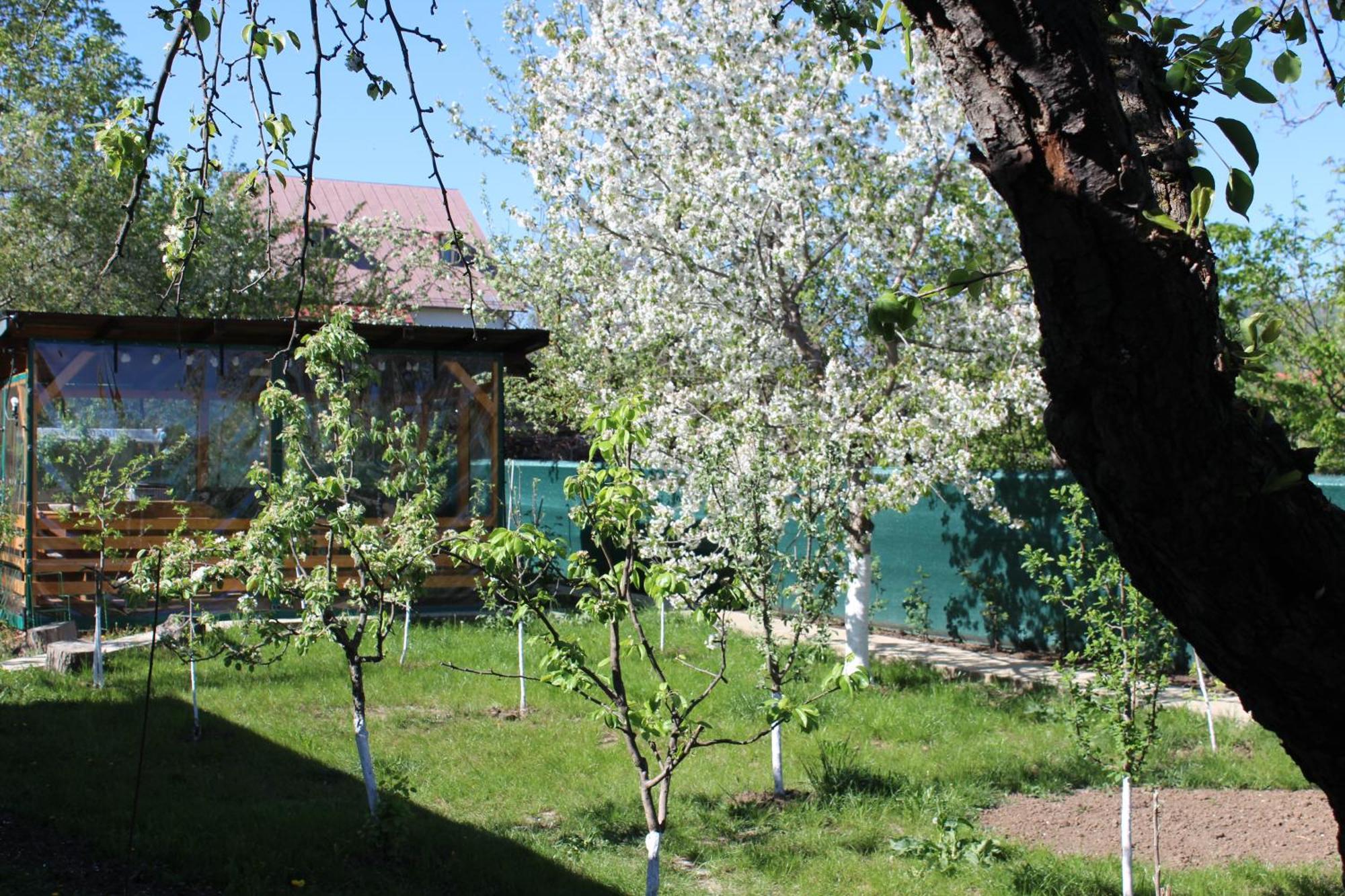 Casuta Artistilor Villa บราซา ภายนอก รูปภาพ