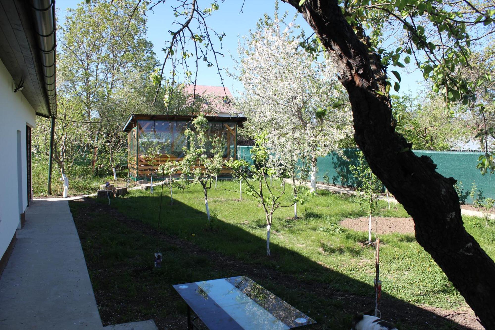 Casuta Artistilor Villa บราซา ภายนอก รูปภาพ
