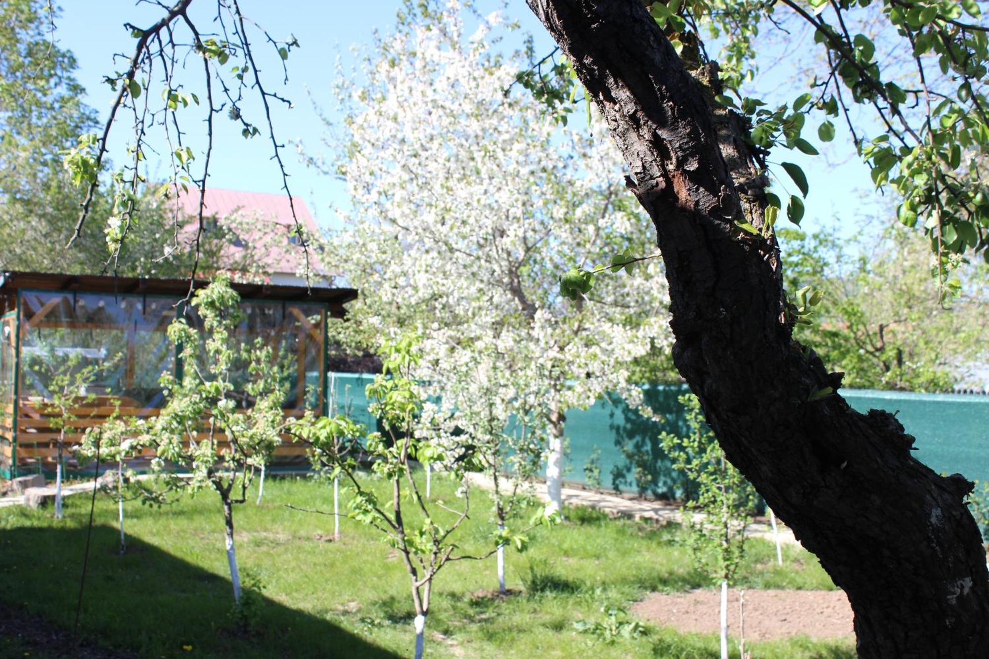 Casuta Artistilor Villa บราซา ภายนอก รูปภาพ